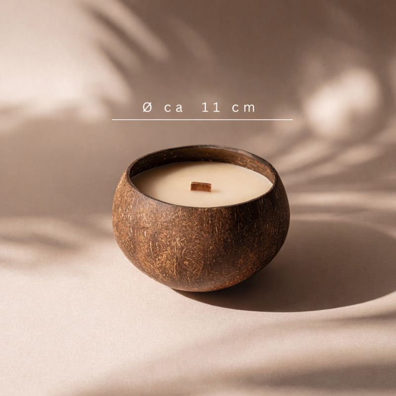 Large eco-friendly coconut candle in a reclaimed shell showing its natural dimensions